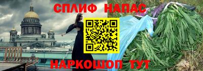 гидра Ярославль