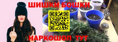 гашик Янаул