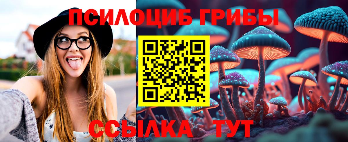 Баксан  Галлюциногенные грибы Psilocybe  Вход с VPN 