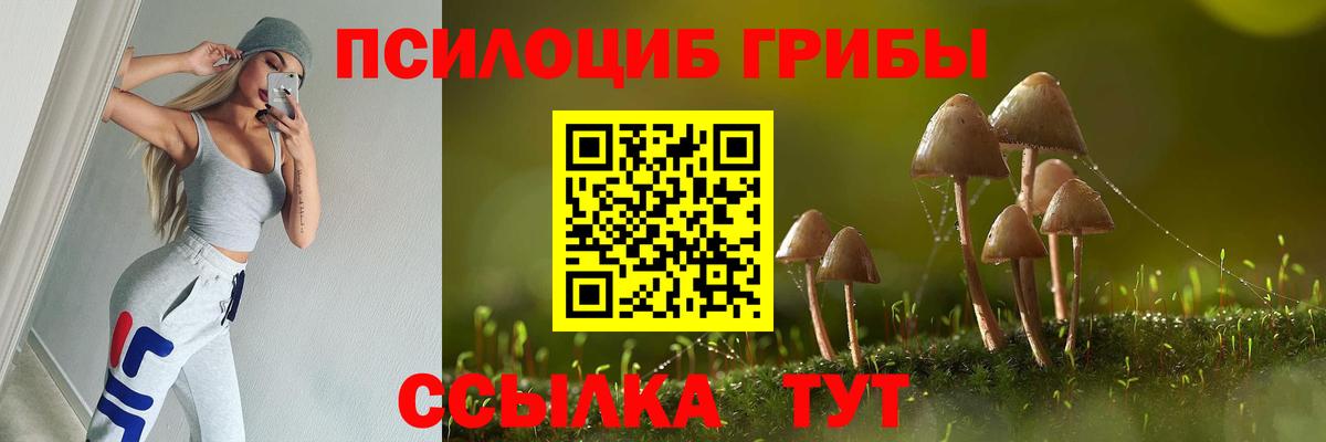 Псилоцибиновые грибы ЛСД Баксан
